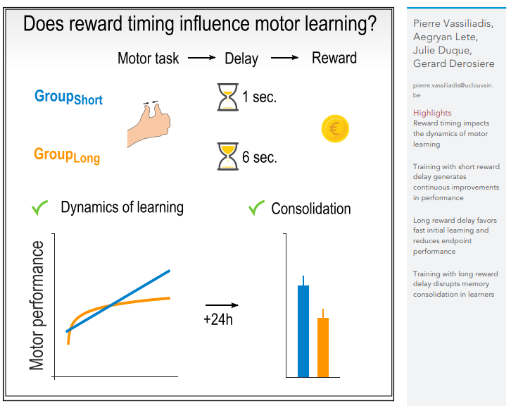 GDerosiere's tweet photo. Our article "Reward timing matters in motor learning" is now out in @iScience_CP! 👇

https://t.co/UJKZxcqyaa

Great work @PTVassiliadis!

Funded by the @frsFNRS, conducted @UCLouvain_be. https://t.co/k3sYL6tDeL