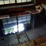 ツイートに含まれる画像