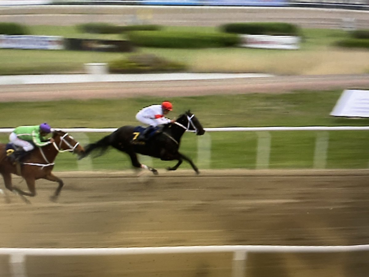 Annette Lennon tweet media