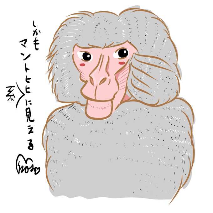 お猿さんのtwitterイラスト検索結果