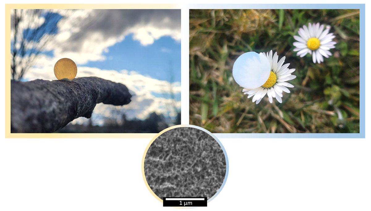 Nano_MDPI's tweet photo. 📌 #Optical Properties of Polyisocyanurate–Polyurethane #Aerogels: Study of the Scattering Mechanisms
#mdpinanomaterials 

Read the full #openaccess publication: https://t.co/8TXmhBNGKg https://t.co/ppkBV2vw0p