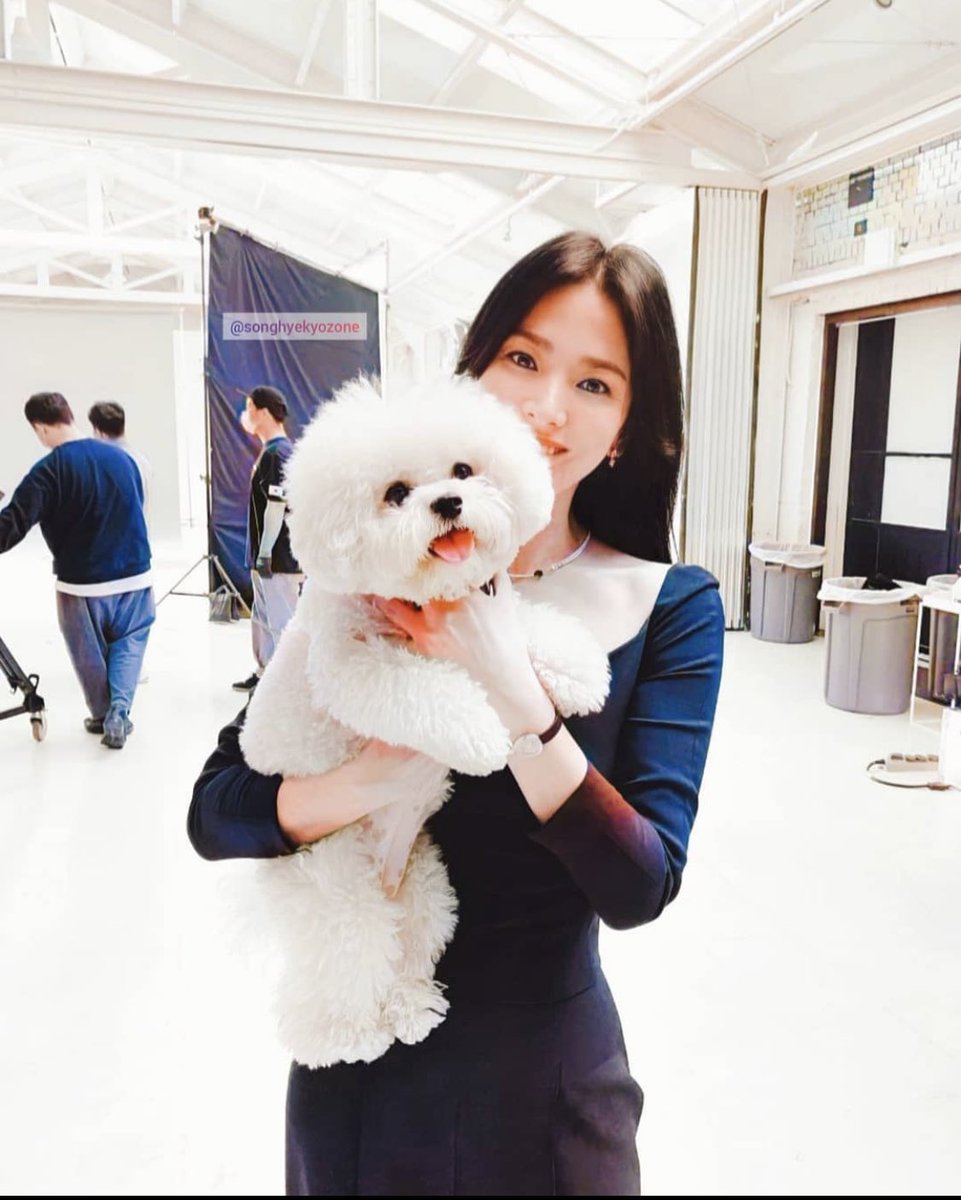 Melody1122Mel's tweet photo. LDH’s Gaeul and Kyo’s Ruby can be friends through #TheGlory 🤭🤭😭😭

#SongHyeKyo #SongRuby 😇 https://t.co/jPKItlS26f
