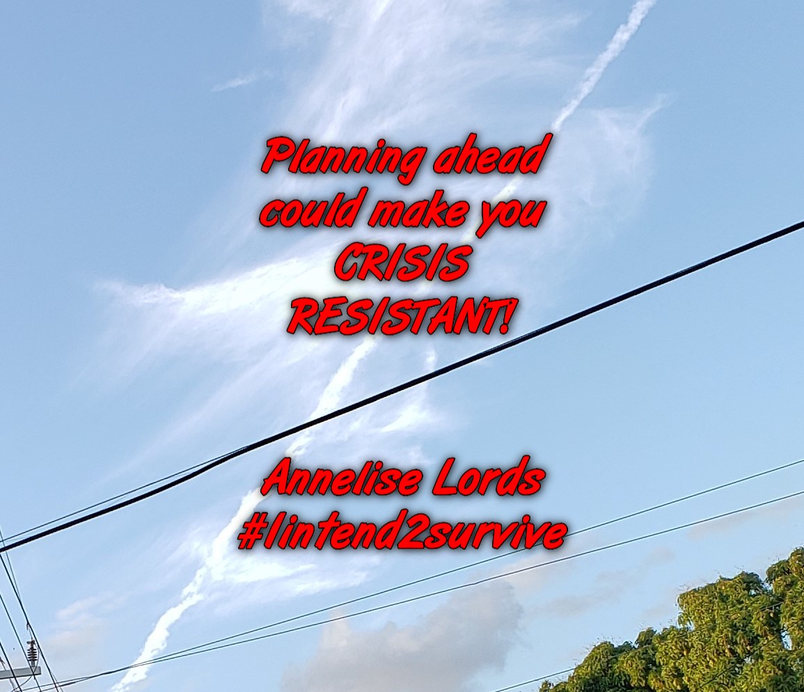 ThisisAnneliseL's tweet photo. #planning #crisisresistant #red4crisis #alwaysplan #planningandmentalhealth #mentalhealth4planning #plantpositivily #planalways #plan #yes2planning #no2crisis https://t.co/fSkq5U88Ej