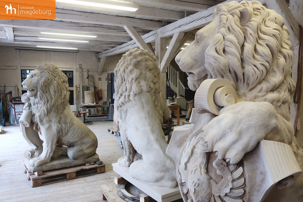 Ottostadt's tweet photo. 🦁Die 3 Löwen der denkmalgeschützten Anna-Ebert-Brücke befinden sich seit gut einem Jahr zur Überarbeitung in #Naumburg. Aktuelle Bilder zeigen den Fortschritt der aufwendigen Arbeiten. Noch in diesem Jahr kehren die 3 Großkatzen nach #Magdeburg zurück.

👉https://t.co/ZMLIhHs2tD https://t.co/8cJs5oZt8F