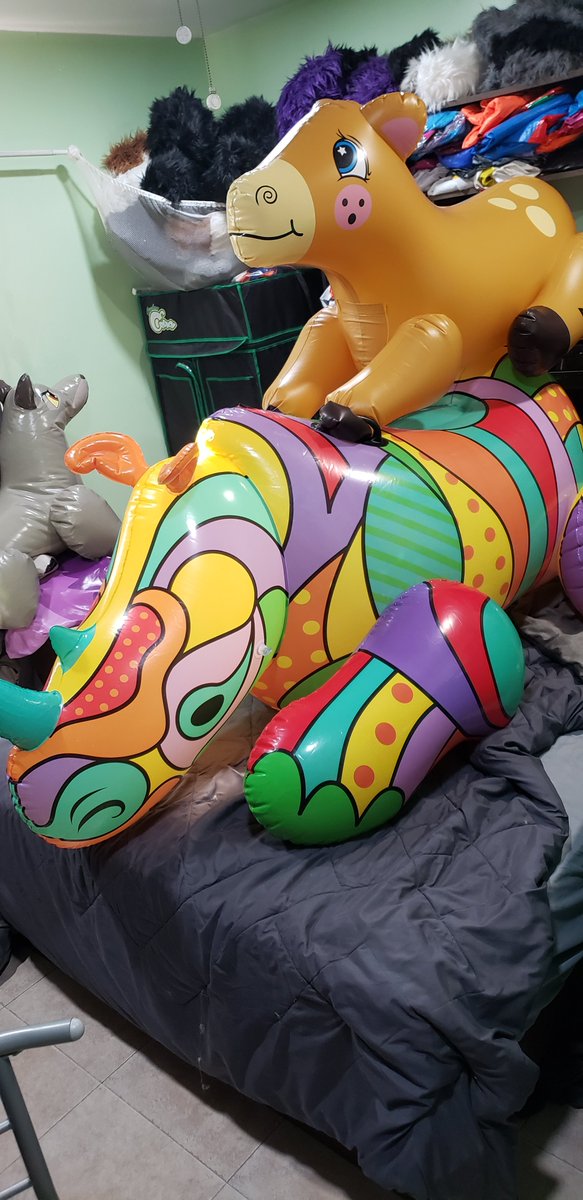 AliztorT's tweet photo. Today's Friends #Inflatables #PoolToys #ToyFriends https://t.co/bsEiN1jxss