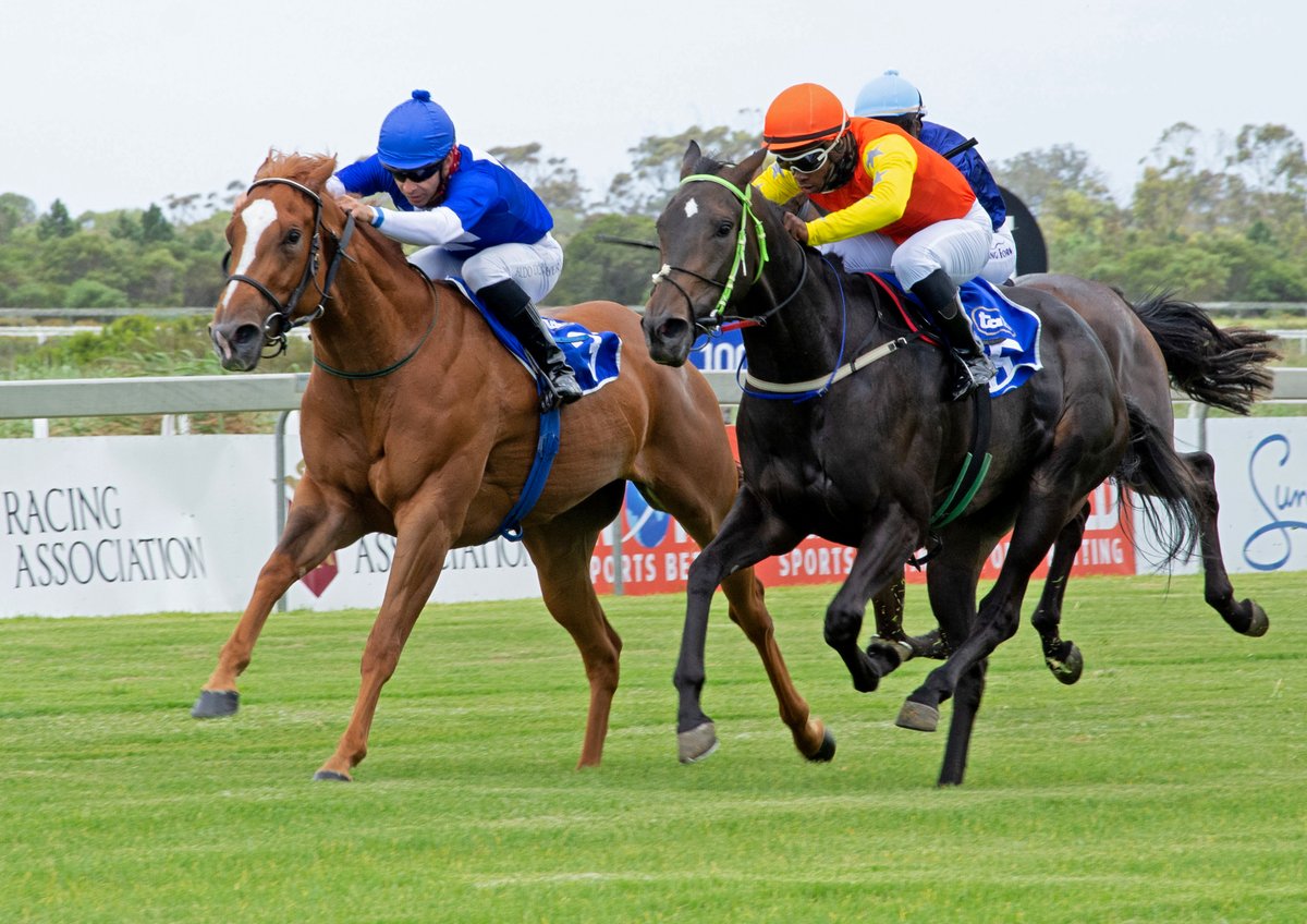 RacingTodayTV's tweet photo. Get to grips with real trackside action this Fri, 13 May as the final field of 16 thoroughbreds gallop to glory at #Fairview in the @WorldSportsBet #EastCapeDerby. Check out DStv #Channel240 or visit the following link https://t.co/wMGRAgRwIa https://t.co/YKaRHdjz2R