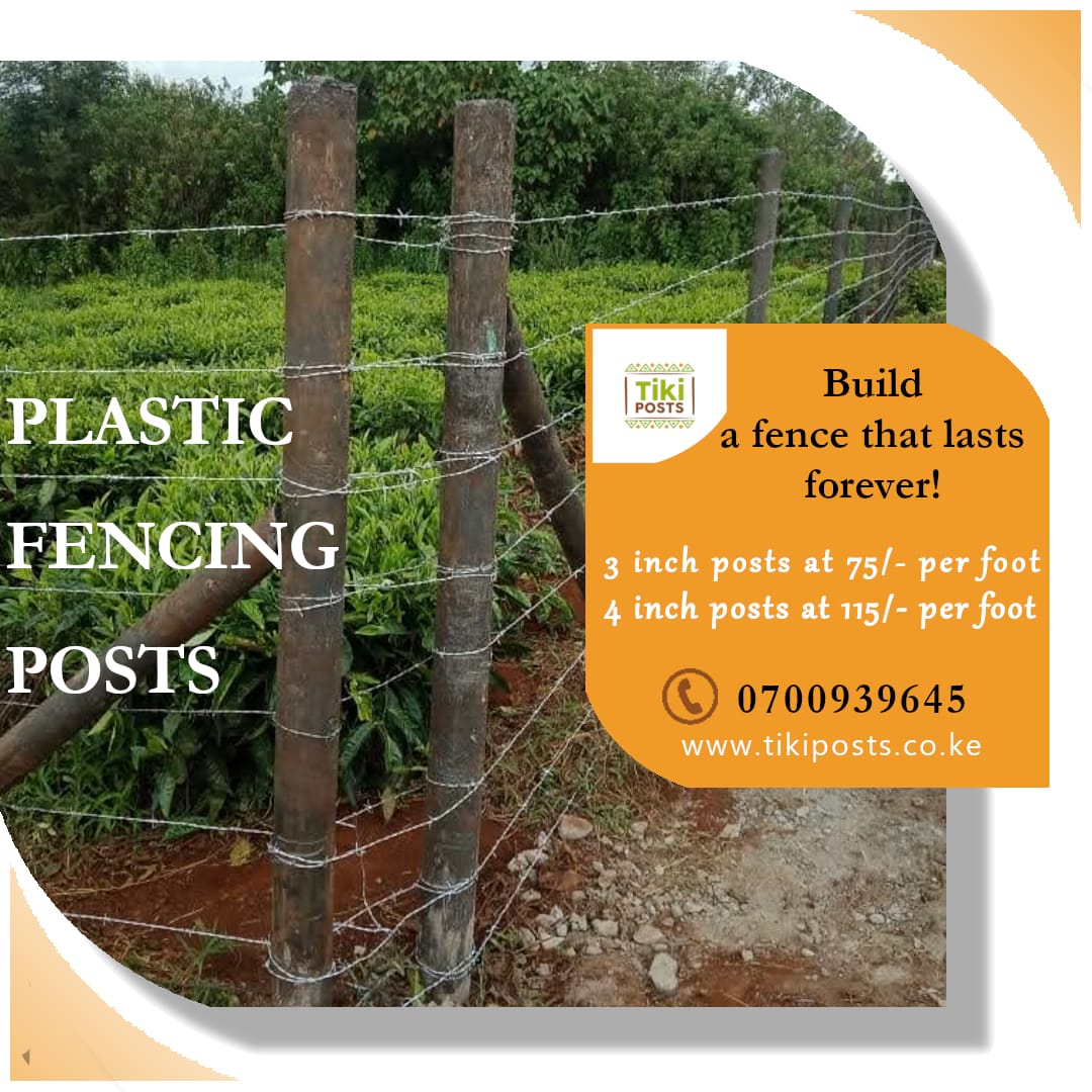 TikiPosts's tweet photo. Plastic fencing posts, a full proof long term solution for your fencing needs.
Call/text 0700939645 to order. 

#recycling #plasticposts #fencing #fencinglife #fencingposts #reduce #reusereducerecycle #savetheearth🌎 https://t.co/lAX5mPmaC3