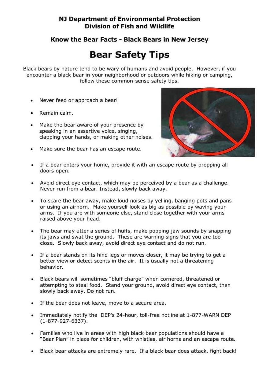 WashTwpPolice's tweet image. 🚨Bear Sighting🚨 

Be advised a Black Bear was spotted on Howard St. this morning.  He was most recently spotted down Ridgewood Rd., just east of Westwood High School.

We know he looks cute and fuzzy, but do not approach the bear.  Do not feed the bear.

#washtwppolice #wtpd