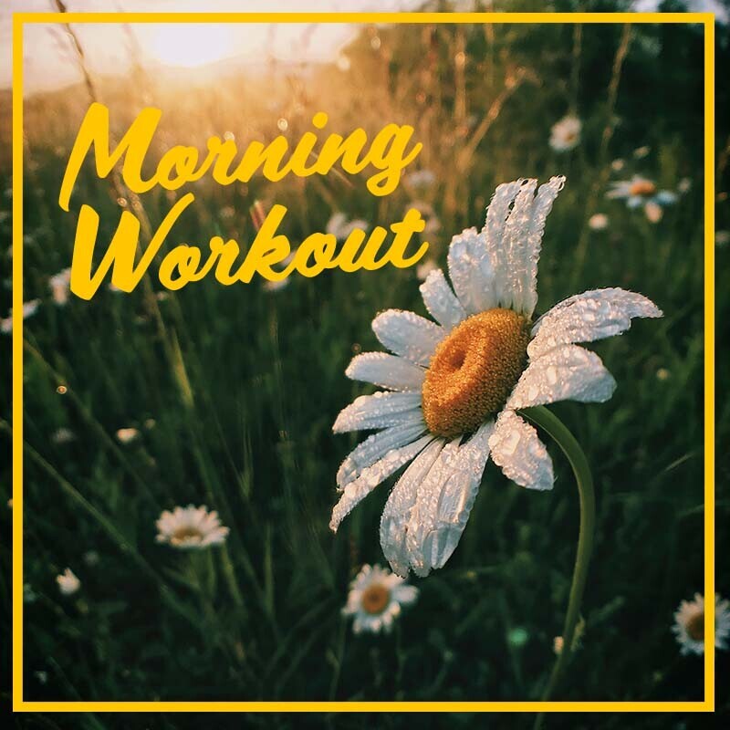 AloeCache's tweet photo. 🌞Good Morning! Start your day with...

🖊10 push ups
🖊25 squats
🖊30 mountain climbers
🖊30 sec plank
Repeat 3x
#Workout #MorningFitness
https://t.co/dk321lc8M5 https://t.co/T5GyBDi0WD