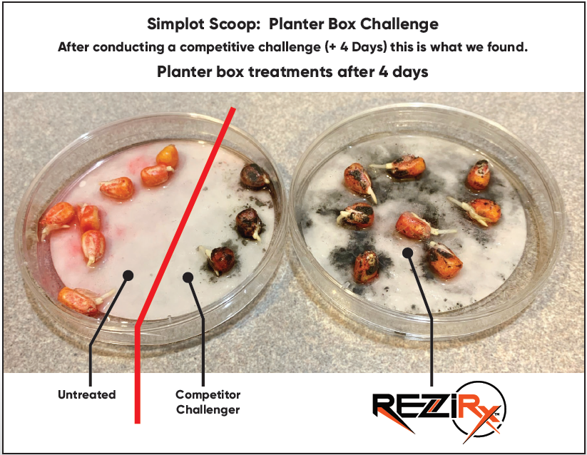 Innvictis's tweet photo. The best way to finish with strong yields is to start with a strong, consistent stand.  ReziRx™ is a dry nutritional hopper box seed treatment applied at planting that can help you achieve the best start to a strong finish. Contact your @Simplot_SGS crop advisor for more info. https://t.co/BoC5D9liiW