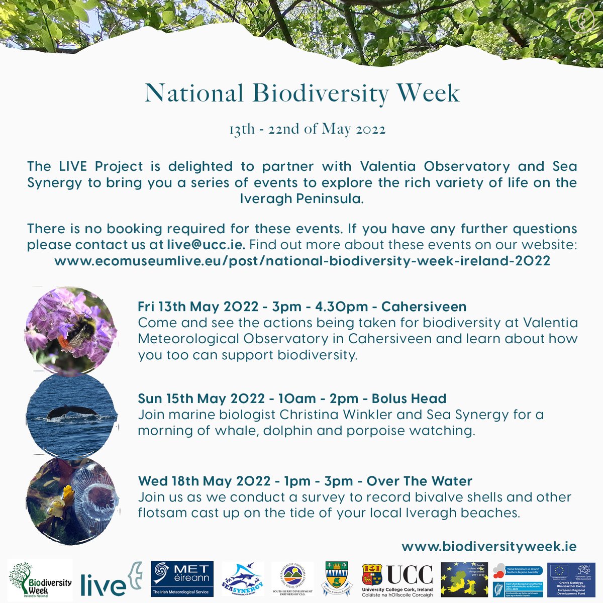 We're really excited for #NationalBiodiversityWeek next week. During the week we have a number of events planned which will highlight the biodiversity we have here in Iveragh. 
#BiodiversityIreland #IrelandsBiodiversity #ValentiaObservatory #TidyTowns #WhaleWatch #EUIrelandWales