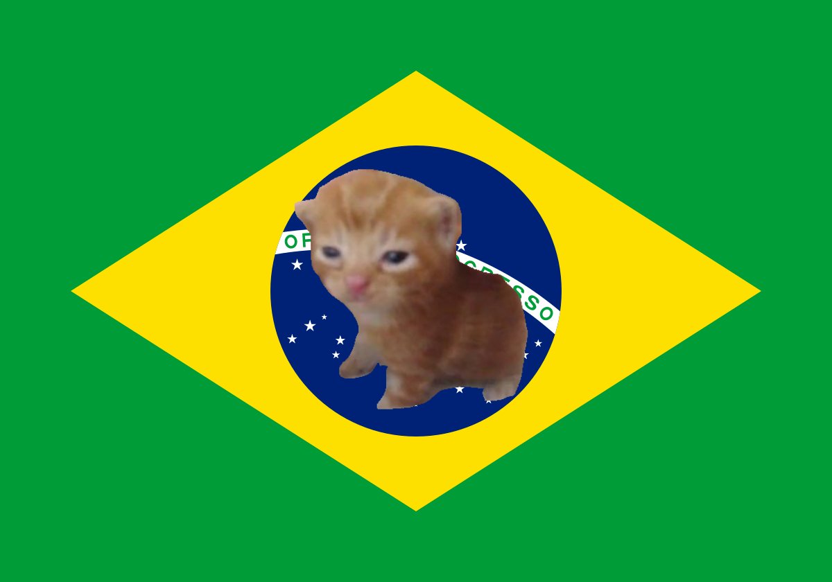 Bandeira do Brasil aesthetic Brazil  Bandeira do brasil, Bandeira do brasil  foto, Gato do espaço