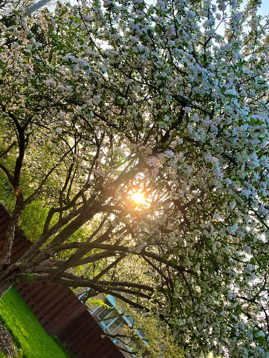 It’s going to be a great day! ☀️🌸 #WeAre54 #lovingthisweather