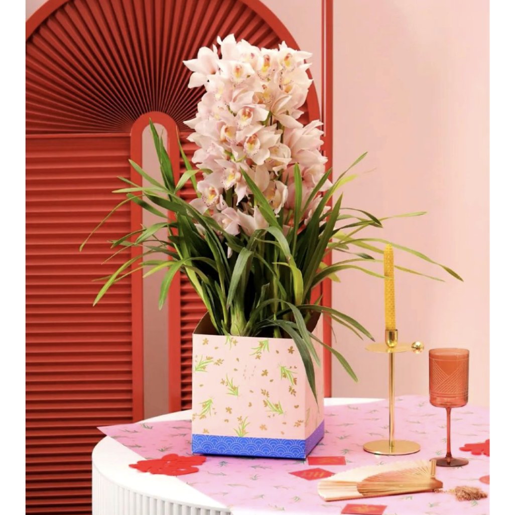 The_Social_Wire's tweet photo. CHINA’S HIGH-END FLOWER BUSINESSES ARE BLOOMING 🌺📲 https://t.co/UWRAfcZcE3 https://t.co/nKSsQQn9EW