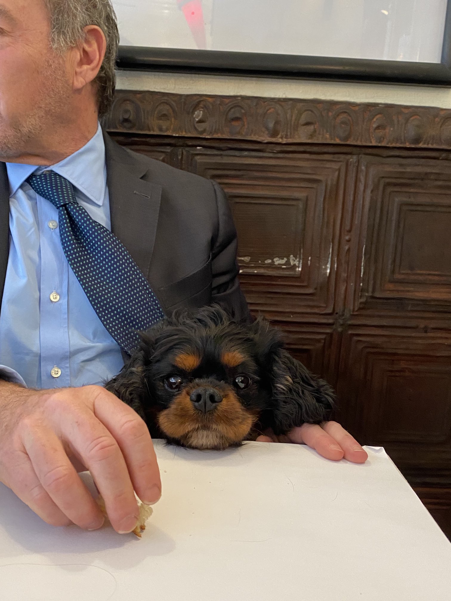 David Frum on Twitter: