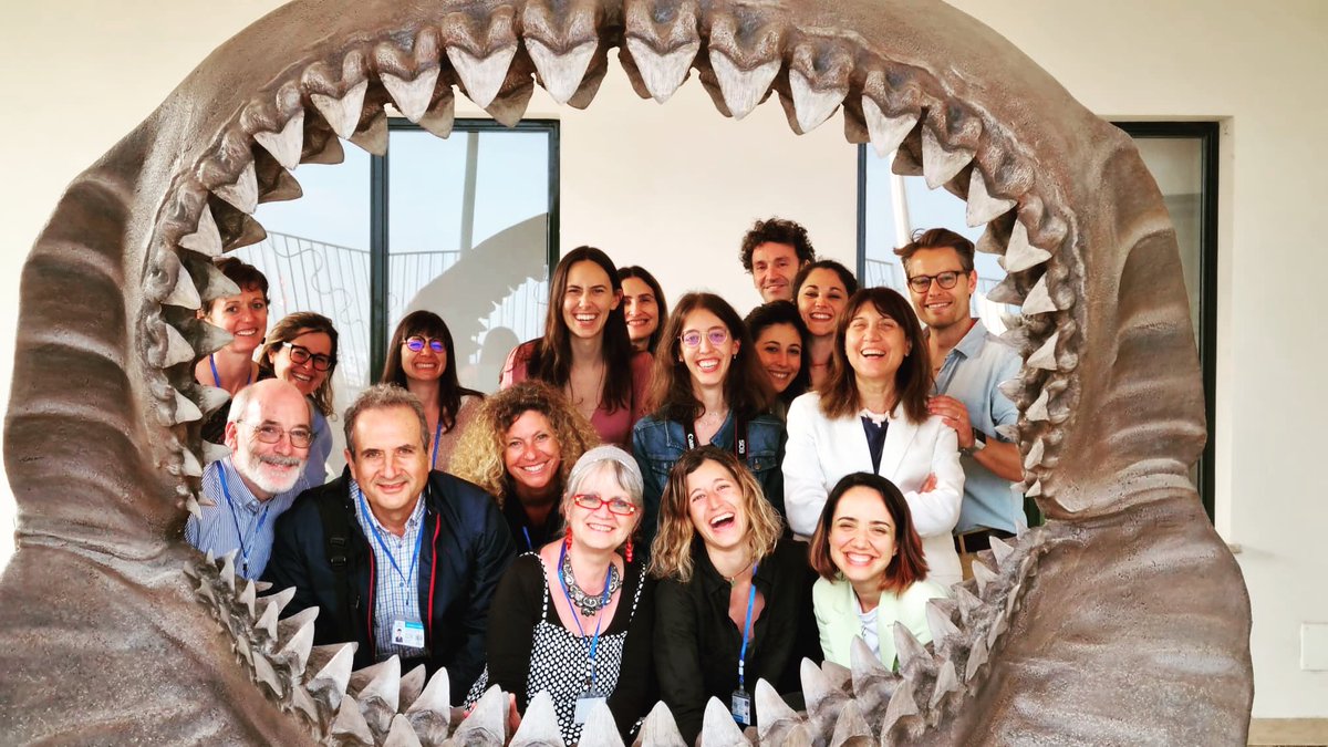 AFRIMED_eu tweet media