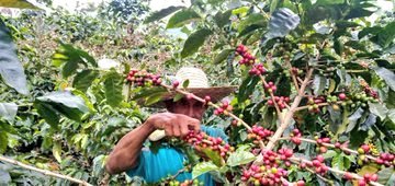 #11May |🇻🇪📢 ¡ETIQUETA DEL DÍA!  📢📱📲

✔️ #ProducirEsIndependencia 

¡Renacer de la Patria! 

<a href="/NicolasMaduro/">Nicolás Maduro</a> 
<a href="/AdolfoP_Oficial/">Adolfo Pereira Gobernador</a> 
<a href="/LuisJonasReyes/">Luis Jonás Reyes</a> 
<a href="/Roos_Iribarren/">Roosmary González de Reyes</a> 
<a href="/Misiones_lara/">Sistema de Misiones Edo. - LARA.</a> 
<a href="/SomosVDILara/">SomosVDefensaIntegralLara</a>
<a href="/M_somosveLara/">Movimiento Somos Venezuela Estado - LARA.</a> 
<a href="/BonosSocial/">Bonos Protectores Social Al Pueblo</a>
<a href="/CarnetDLaPatria/">Carnet de la patria</a>
<a href="/JuntosEmprender/">Emprender Juntos</a>