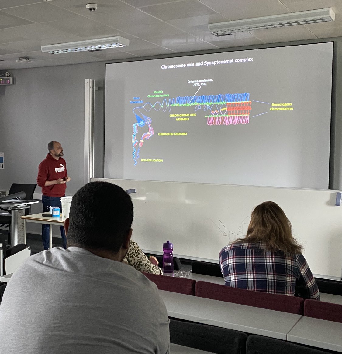 Learning all about the plant chromosome axis and synaptonemal complex from Pablo Parra-Nuñez 🧬