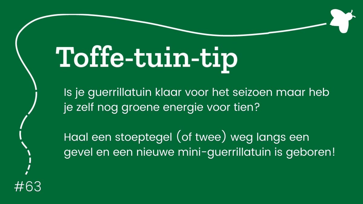 GrrGardenersNL's tweet photo. Door 1 of 2 stoeptegels weg te halen langs een gevel heb je al genoeg oppervlakte om iets te zaaien of planten.
Is er bij jou in de buurt een plek die geschikt is om een mini-geveltuin aan te leggen?
#toffetuintip #tegeltuin #tegelwippen #buurtvergroeners https://t.co/TUaCeFRy1r