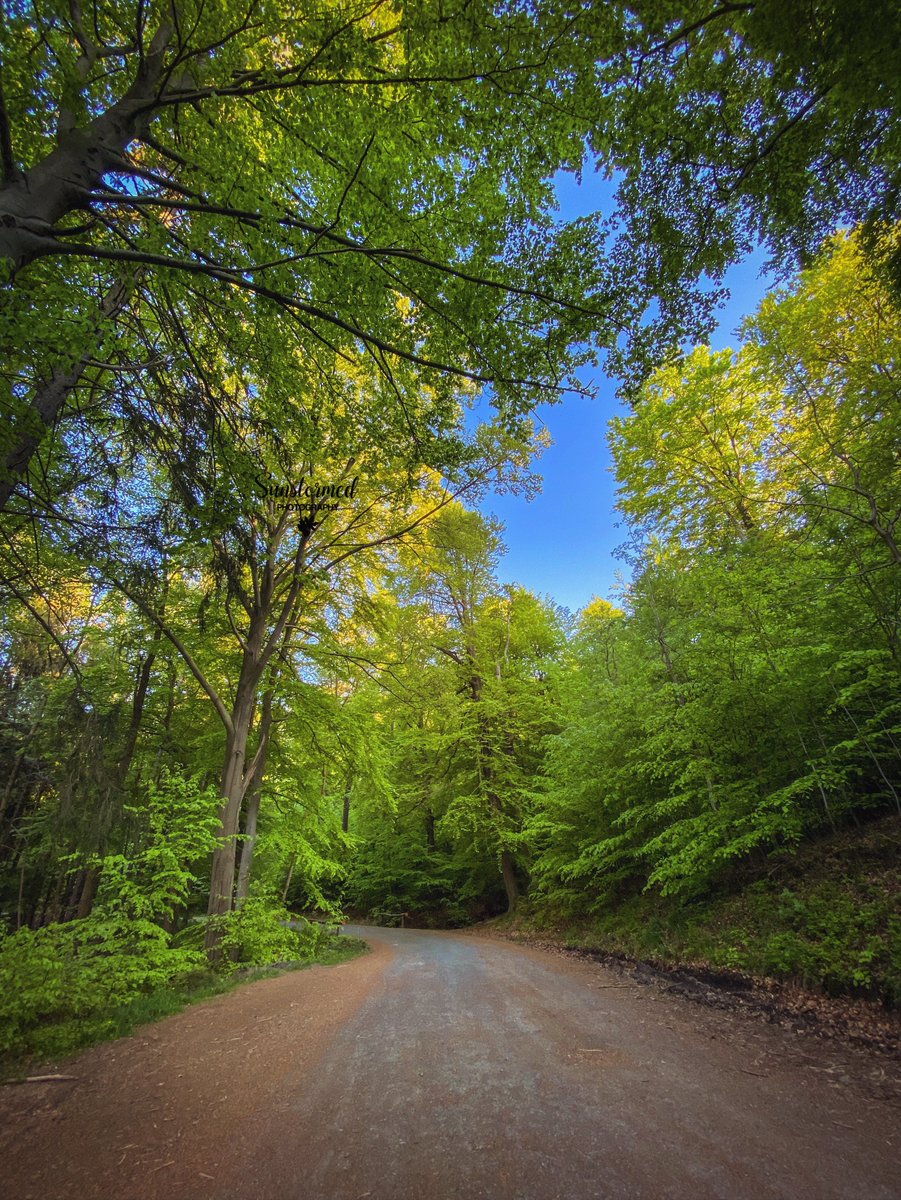 Sunstormed's tweet photo. I always take the road less traveled.. https://t.co/Hl2I1c4jvu
