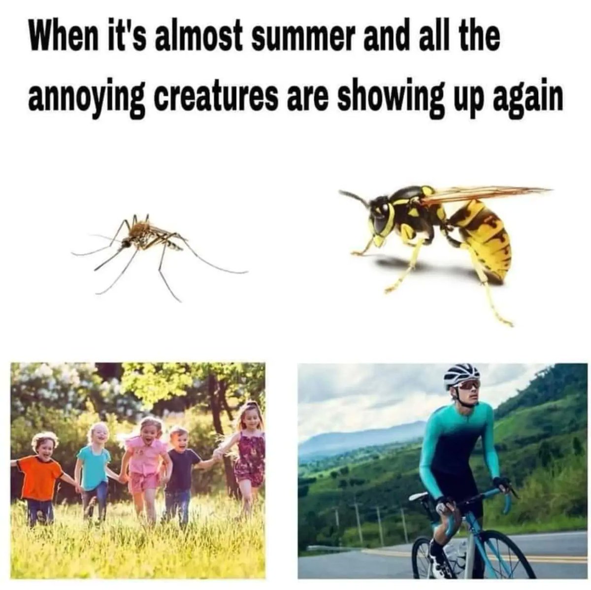 HackingDave's tweet image. Lollllllll, I probably laughed a little too much on this one 😂