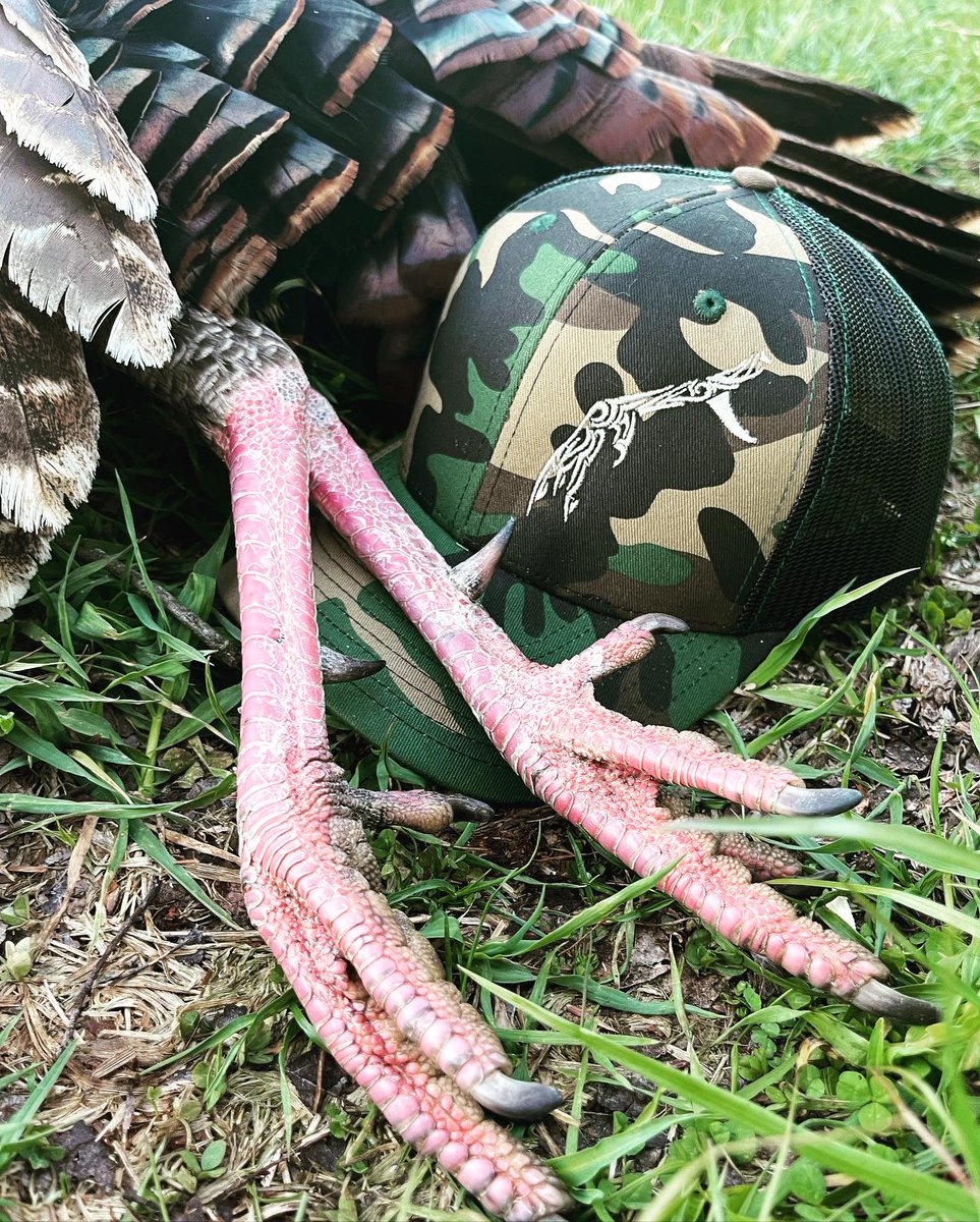 tattoosandtines's tweet photo. In @kaleb_copenhaver quick fashion, he got it done today!!
#hat #tattoosandspurs #turkeyhunting #turkeysbefloppin #turkeyseason #hunting #lifestylebrand #adventure #builtforthewild #outdoors #hunt #photooftheday #apparel #wild #explore #exploremore #travel #adventureoften https://t.co/oAdwMDjK3o