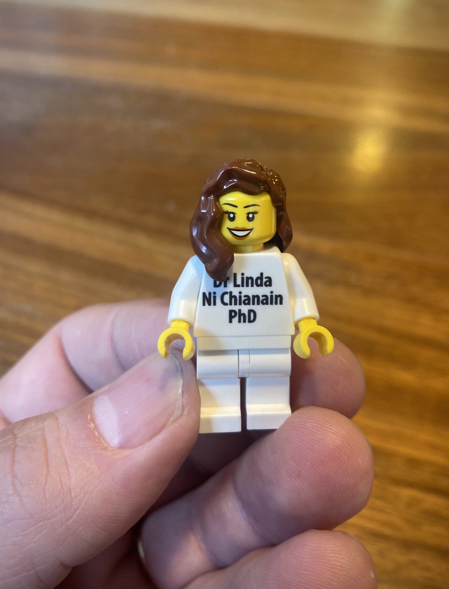 DrGerryG's tweet photo. Warmest congrats *Dr* Linda Ní Chianáin #PhD officially positive! 🎉  Immense pleasure to supervise (with @drjennyjohnston) Would do it again in a heartbeat. Her work is invaluable in how best we work with #SimulatedParticipants #personcentred (+lego bookends to the journey⬇️!) https://t.co/ZteaW9X8kJ