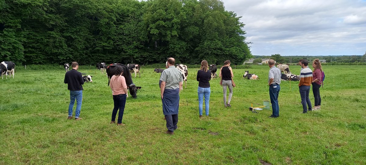 B_Rouille's tweet image. 🚨 #GrASTech meeting in 🇫🇷

Methane emissions #LMD, pasture allowance, speed intake, milk production, maize silage in the morning or evening 

Exchanges on field for the partners 🐄🌤☘