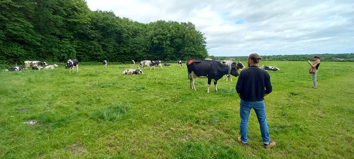 B_Rouille's tweet image. 🚨 #GrASTech meeting in 🇫🇷

Methane emissions #LMD, pasture allowance, speed intake, milk production, maize silage in the morning or evening 

Exchanges on field for the partners 🐄🌤☘