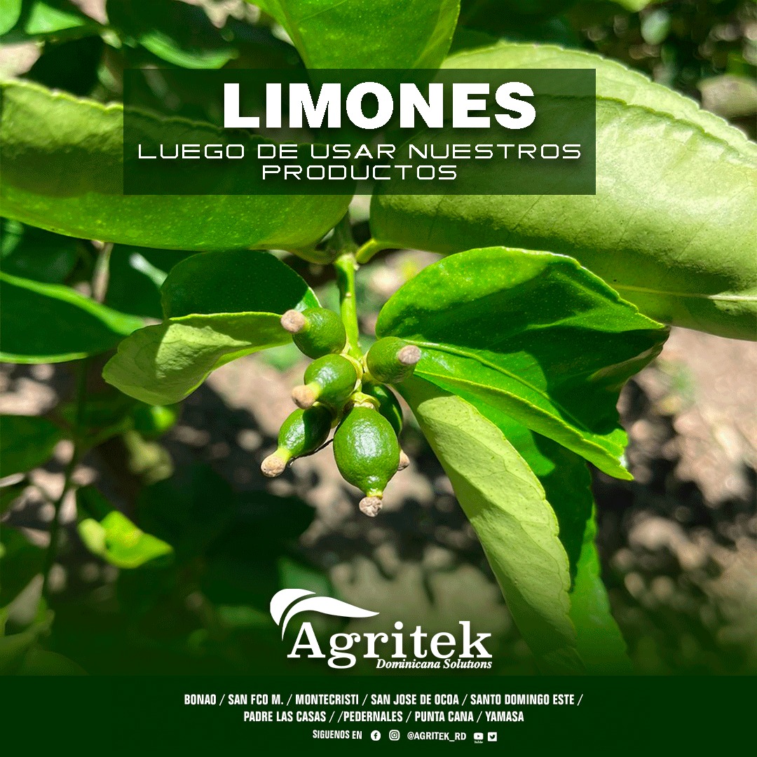 Agritekrd's tweet photo. Somos tu mejor opción 👌 nuestros clientes nos eligen cómo la solución organica a todos sus problemas.
-
¡Somos Agritek Internacional ! 💪
-
#agritek #agricultura #agriculturaorganica  #republicadominicana #ecologico #biologico https://t.co/JIOQGRWqxc