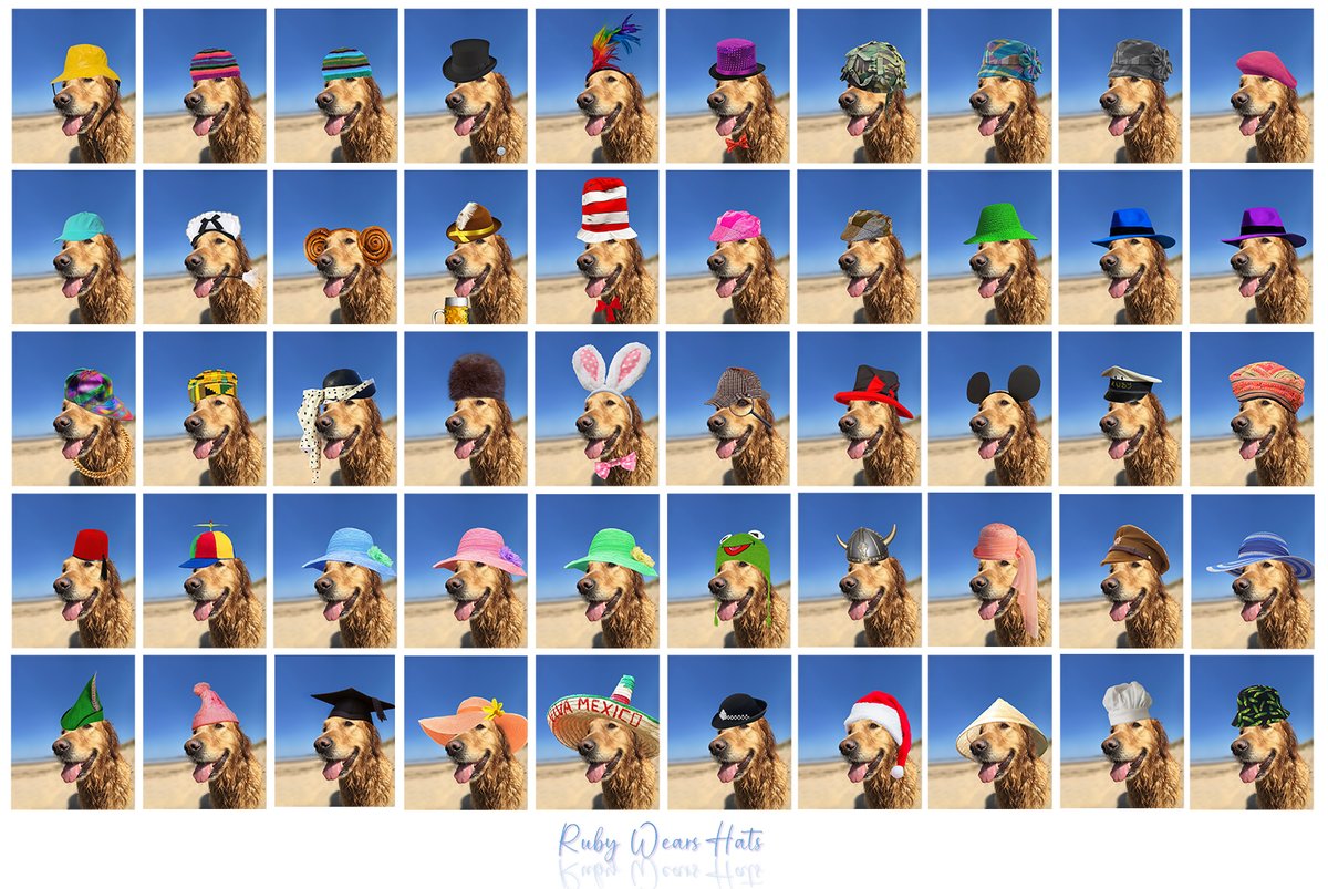 Ruby Wears Hats is a fun collection of 1-of-1, handmade pics of my dog, Ruby, modelling fabulous hats. Minting a new batch weekly, the collection will have 1500 unique NFTs. 0.009 $ETH on Polygon <a href="/opensea/">OpenSea</a>  Pick your fave now. Thank U🐶🙏🧡👒 opensea.io/collection/rub…
#OpenSeaNFT