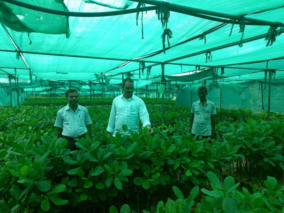 amarendrajspur's tweet photo. Visited Dhenkanal Cashew Division Today.
@CMO_Odisha @krushibibhag #Oscdc #Odisha https://t.co/HQQyqV2JdF
