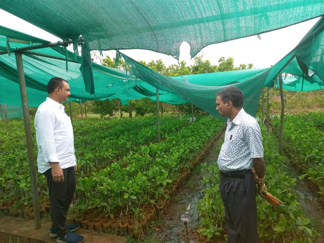 amarendrajspur's tweet photo. Visited Dhenkanal Cashew Division Today.
@CMO_Odisha @krushibibhag #Oscdc #Odisha https://t.co/HQQyqV2JdF