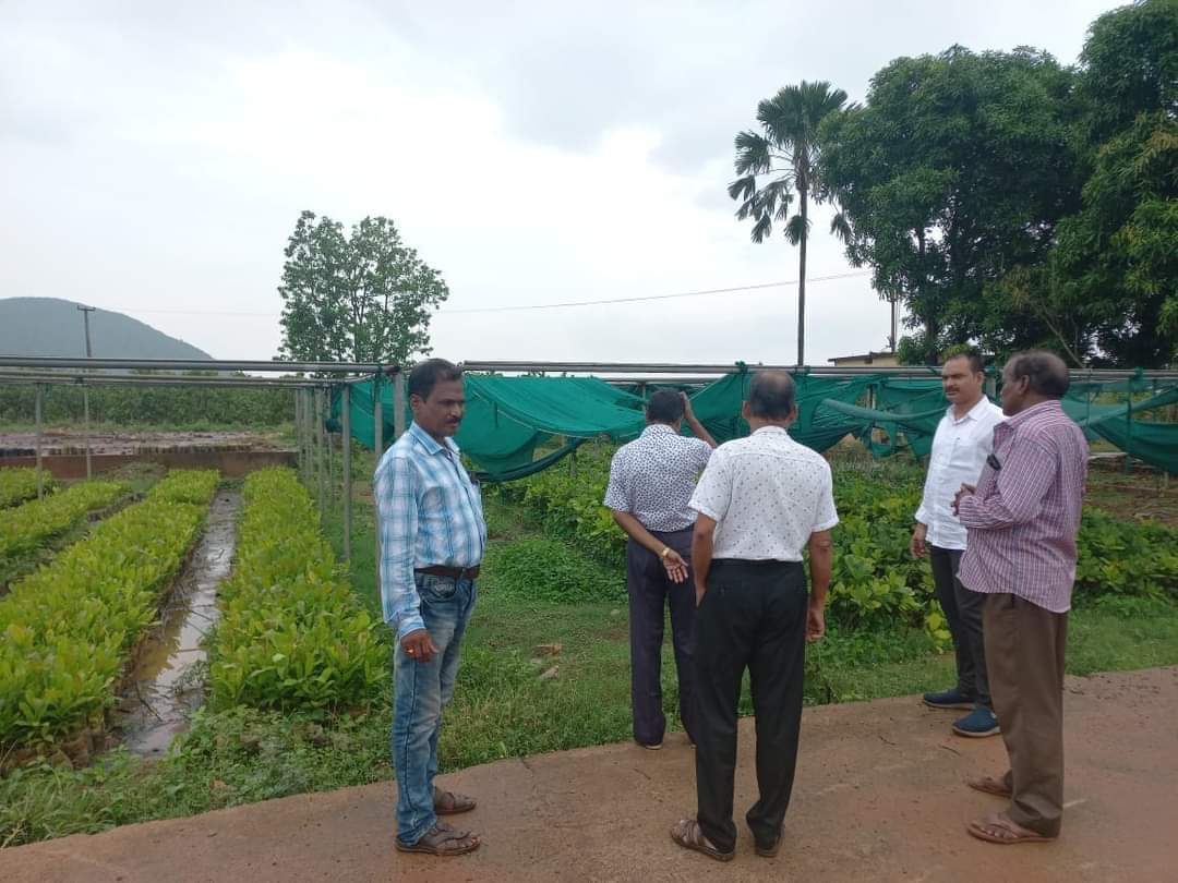 amarendrajspur's tweet photo. Visited Dhenkanal Cashew Division Today.
@CMO_Odisha @krushibibhag #Oscdc #Odisha https://t.co/HQQyqV2JdF