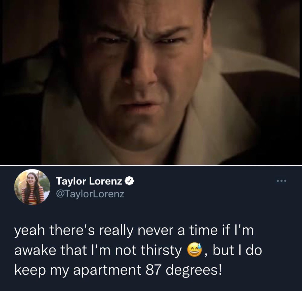 socialist sopranos memes tweet media