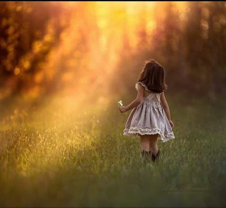 الأرواح الجميلة تجبرك على أن تقترب منها .وتستعذب حديثها ..
لأنك تدرك أن قربها راحة .وملازمتها سعادة .فالقلوب مهما اختلفت
ففي صفو المشاعر تلتقي .