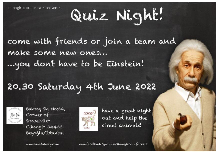 Cihangir Cats tweet media