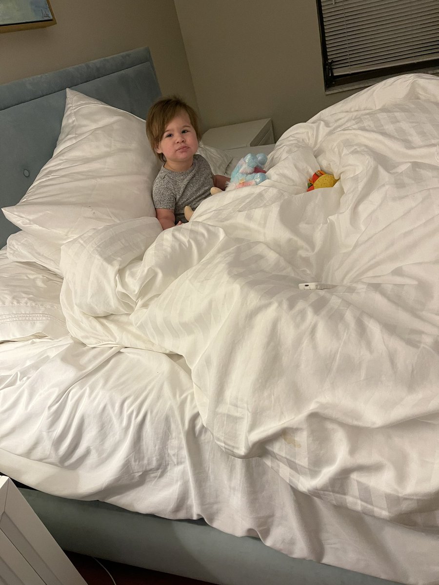 thedanigrossman's tweet photo. It’s just been me and my baby girl for two weeks while dad works. Two more days in Florida before we head to our final destination. Working, packing and taking care of this small human is no easy task. We’re ready to go 💪🏻 The countdown is on!
#relocation #newcity #movingagain https://t.co/iCWQY0zGks
