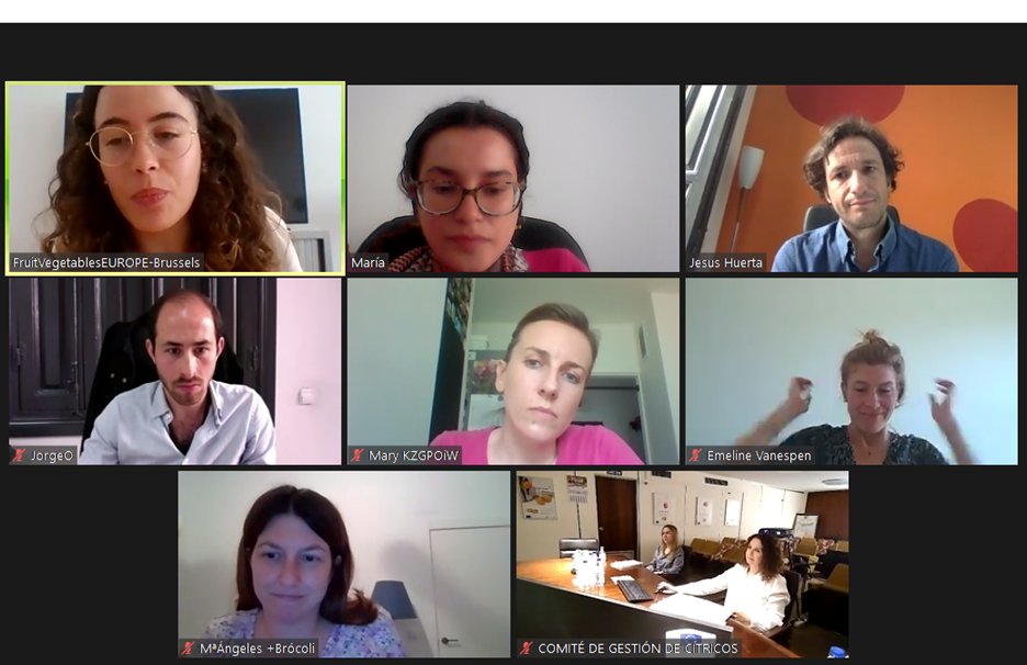 FruitvegEUROPE's tweet photo. 📢This morning EUCOFEL coordinated the PMG of @CuTEHealthy_EU
✅We presented the last updates and @TACTICs team gave an overview of the impact of the ongoing campaign and the upcoming ones for the next months of May and June.
#longlifechallenge #enjoyitsfromeurope https://t.co/Ha9XTGCbed