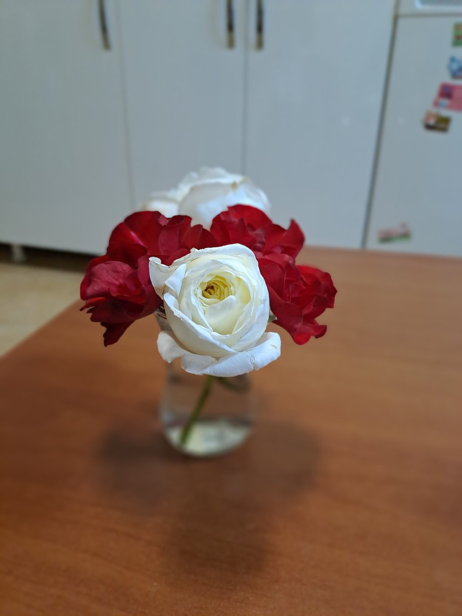 nilhansglm's tweet photo. Benim için çiçek toplayan canım hastalarım 💕 https://t.co/O1ioeQzYfO
