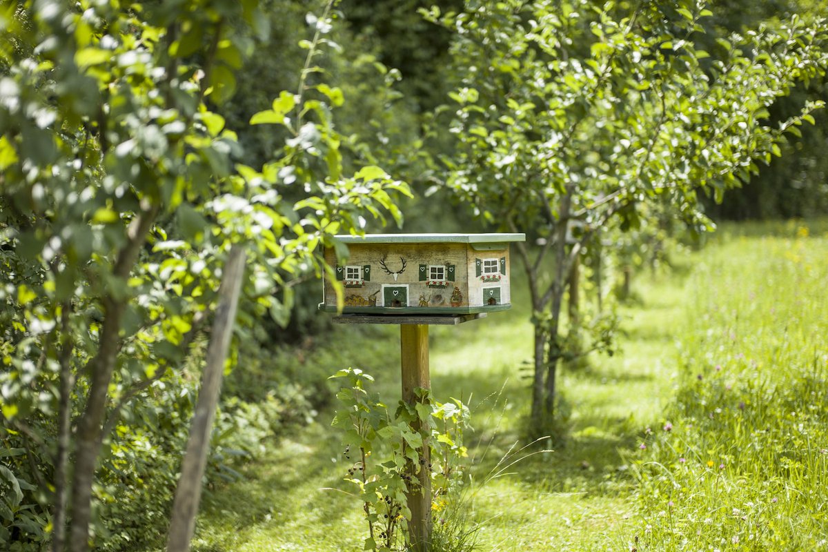 Il 20 maggio si celebra la Giornata mondiale delle Api, un #WorldBeeDay per omaggiare questi insetti fondamentali per l'equilibro dell'ecosistema. Tante le iniziative dedicate alle api nei luoghi di vacanza <a href="/VivosaResort/">@VivosaResort</a> @kufsteinweb
familygo.eu/vacanze-con-ba…