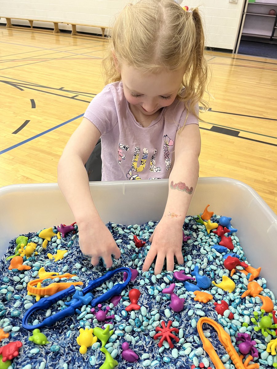 Round Hill School tweet media