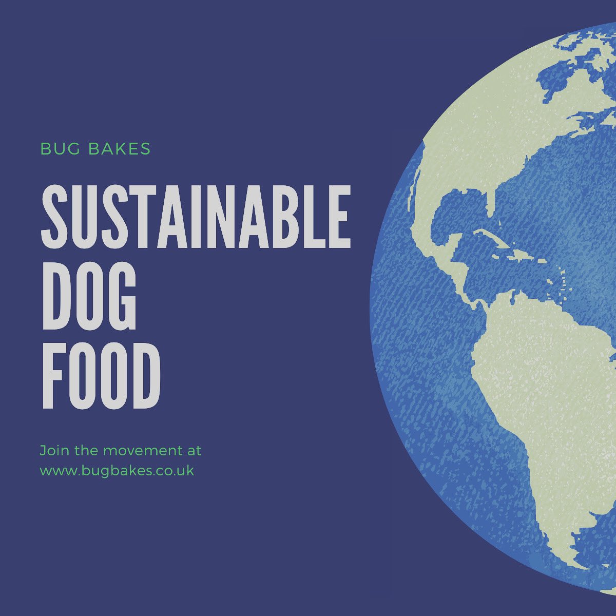 We focus on sustainable dog food, that helps the planet, but also is healthy for your dog. #sustainability #ecofriendly #dogfood #insectprotein
