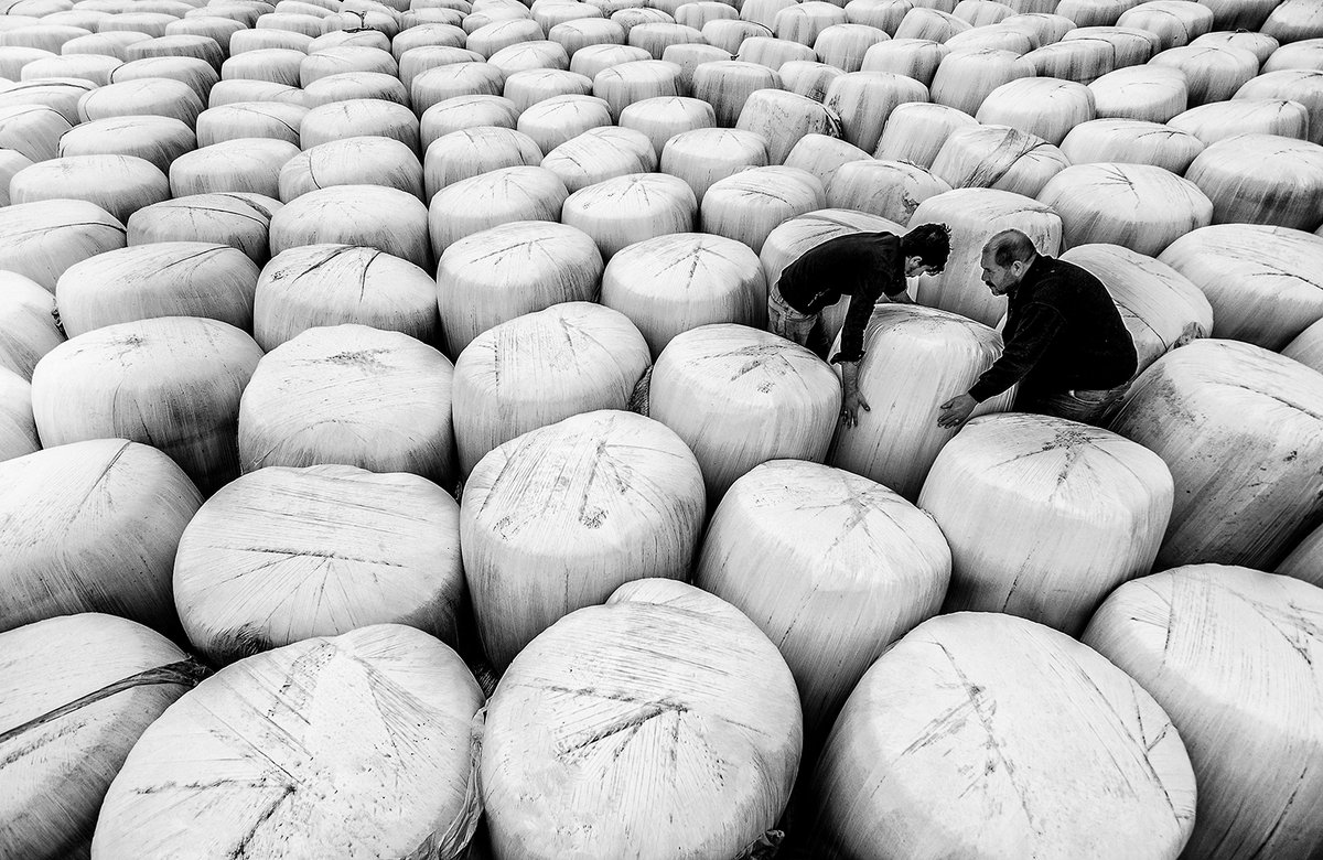 AylaAyyldz61's tweet photo. @joshwax_ Helooo😍
My Black and White Street Photography Collection consisting of 24 photos. 1/1 Edition 0.08 $ETH
https://t.co/h0hXXVdDbB
#nftphotographer #nftphotography https://t.co/ceimkShXeD