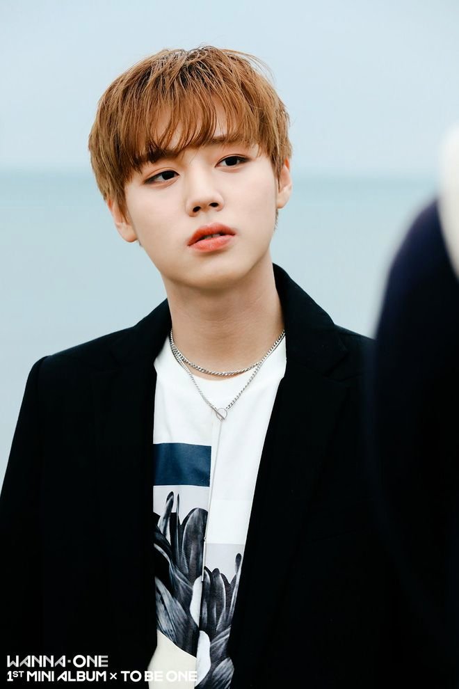 m_mayy14's tweet photo. JiHOON 🫧 

#PARKJiHOON #박지훈 https://t.co/4EHMpdYh8e