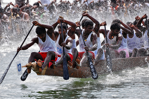 It's a mad dash on the backwaters! Local boatmen go head-to-head in a race to the finish. The snake boats zip through the water at breakneck speed, leaving a trail of excitement in their wake. It's a must-see event during Onam! What's ur fav part of Onam?#NFT #NFTCommunity #India