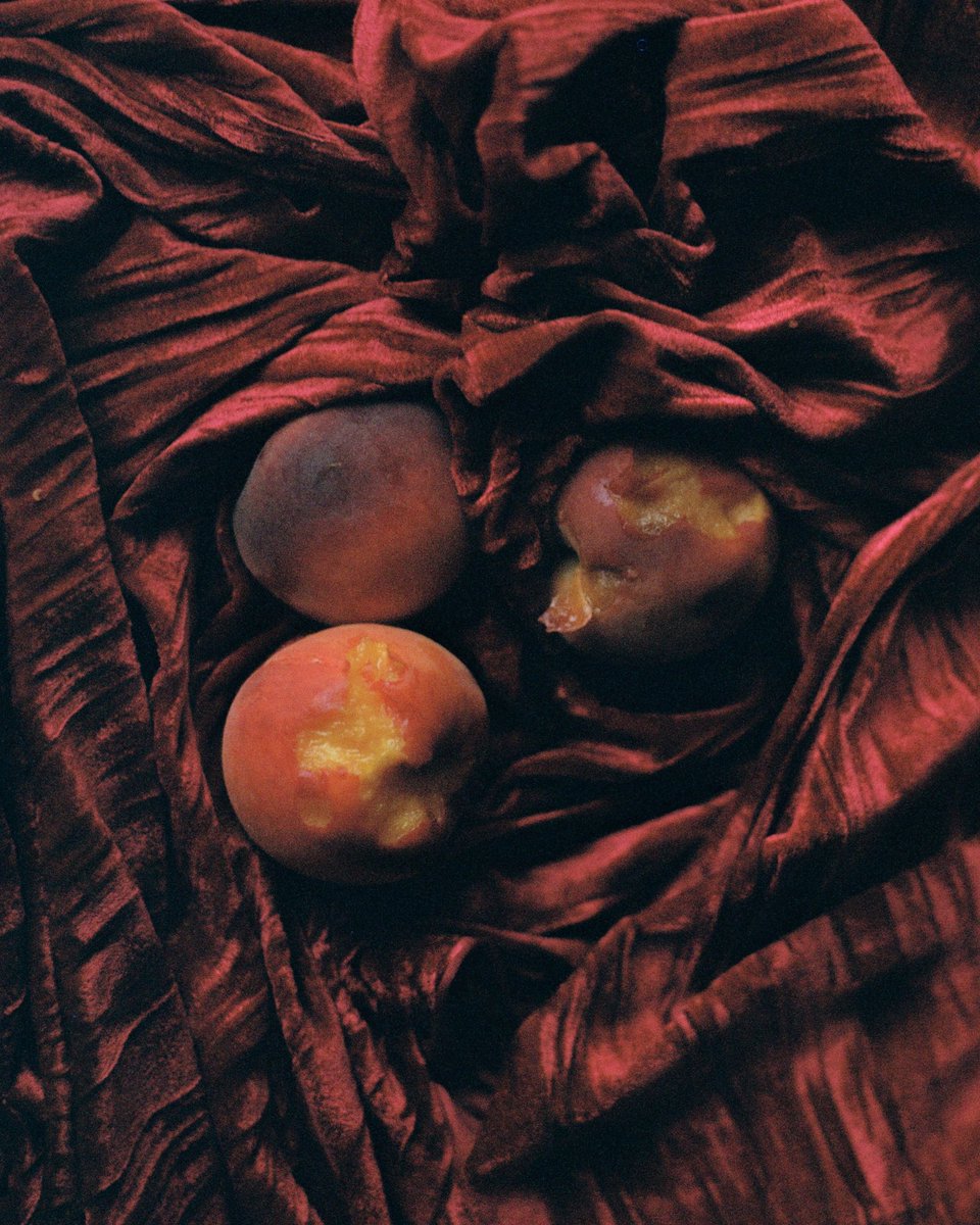 I mean it, y'all really need to follow <a href="/amy___woodward/">Amy Woodward</a>. Amy's one of my favorite new photography discoveries (I think I found her here on Twitter). She's a sensitive imagemaker and a unique talent. Do yourself a favor and follow her feed today. Beautiful Work.✨📸