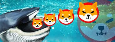 Mysterious Whale Adds 391 Billion Shiba Inu worth $5,989,638 ($5.98M). Now Holds 8.4T Shib.

As the global crypto market is undergoing an extreme selloff since Monday, the mysterious SHIB Whale continues to fill up her bags with a large amount of Shiba Inu (SHIB).