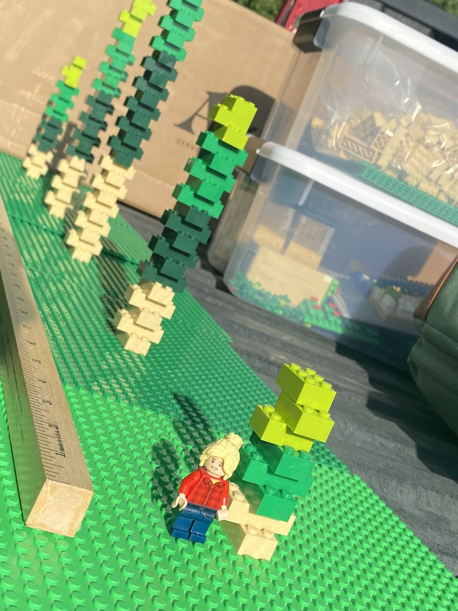 LegoForages's tweet photo. When you don’t have #grass available for a #cattlemens meeting on #grazing sticks…you make your own!
#LegoScience #ThinkingOutsideTheBox #TrustMeImAScientist #UGAExtension #UGAResearch https://t.co/BOiHYh8Yuz