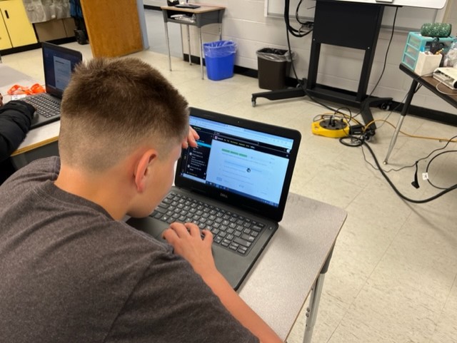 Denise Collins tweet media